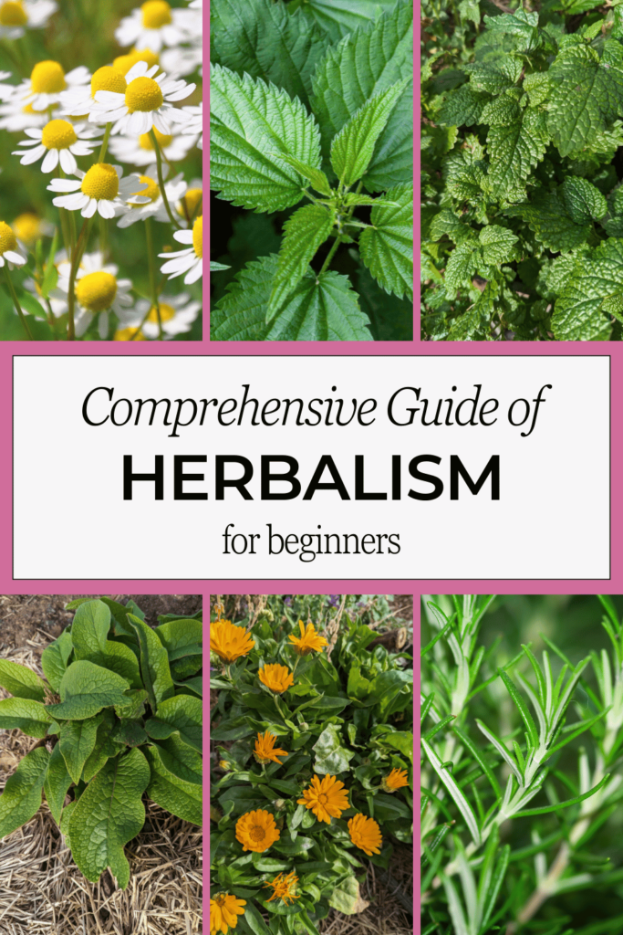 Comprehensive guide of herbalism For Beginners pinterest pin 1