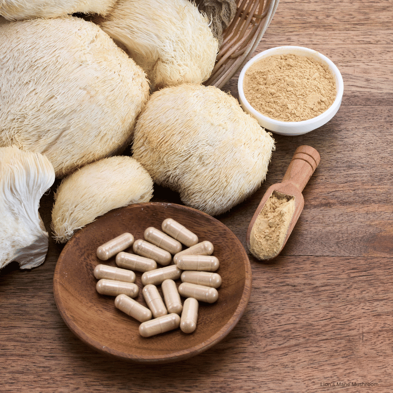 Lion’s Mane Mushroom picture