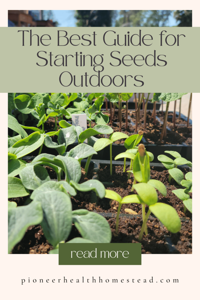 best guide for starting seeds indoors pinterest pin 1