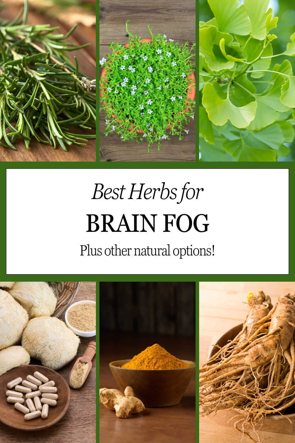 best herbs for brain fog pinterest pin