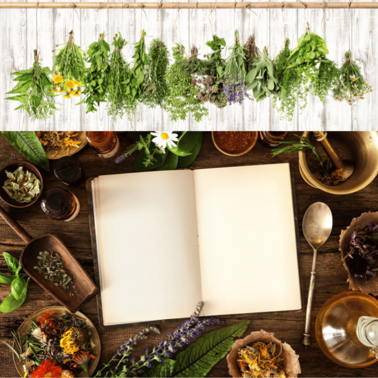 The Best Herbal Medicine Recipes: Natural Healing with Herbs