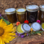 herbalism for beginners syrups and salves with a sunflower and lavender