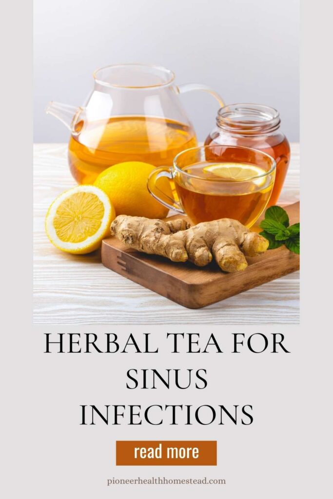 Best Herbal Tea for Sinus Infections pinterest pin orange ginger lemon peppermint tea