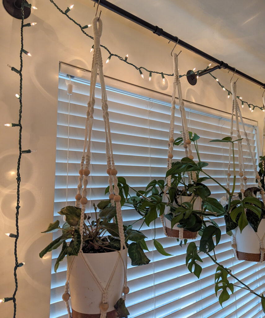 twinkle lights around window with hanging potted plants