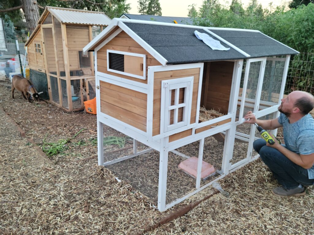 chickens coops