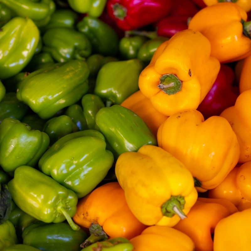 sweet bell peppers in green yellow and red