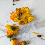 calendula flower on white counter top