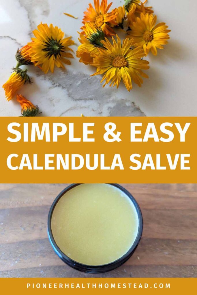 calendula flowers and salve