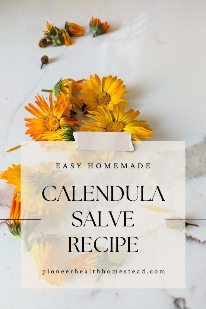 calendula flowers for calendula salve recipe