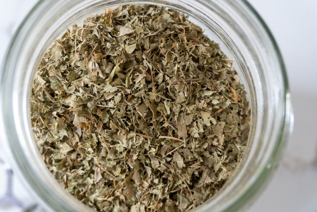 lemon verbena herbs i mason jar