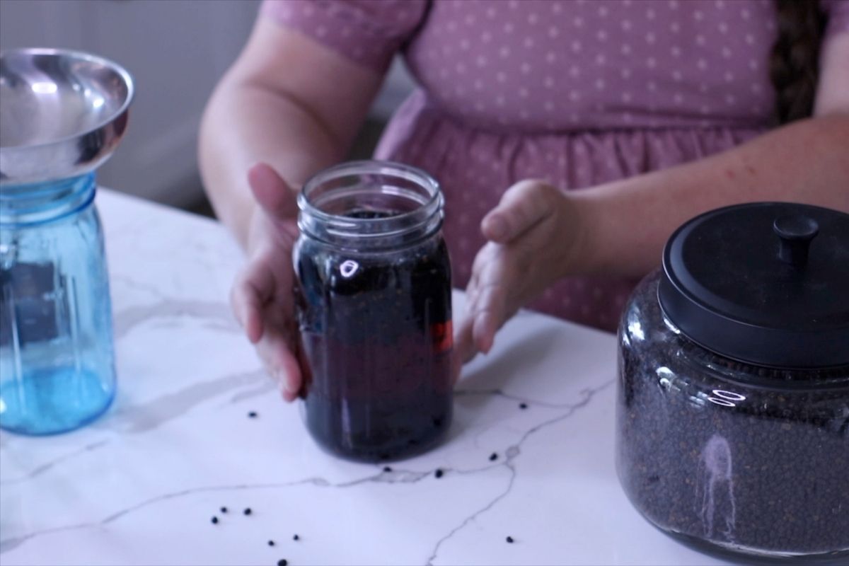 elderberries tincture being made