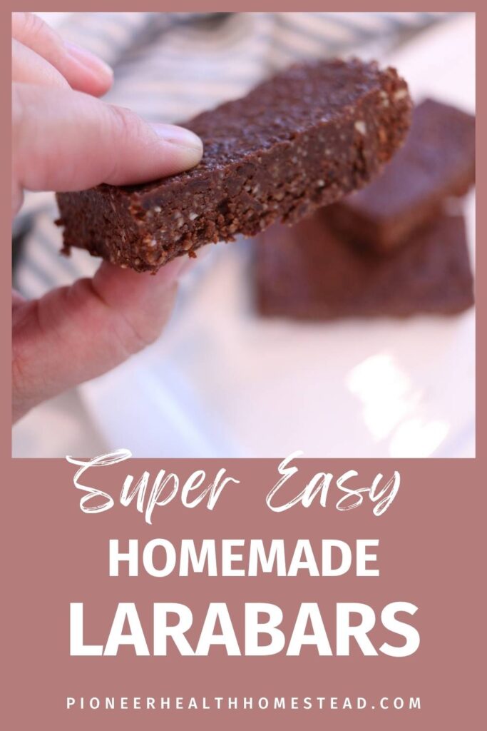 easy homemade chocolate larabars recipe pin