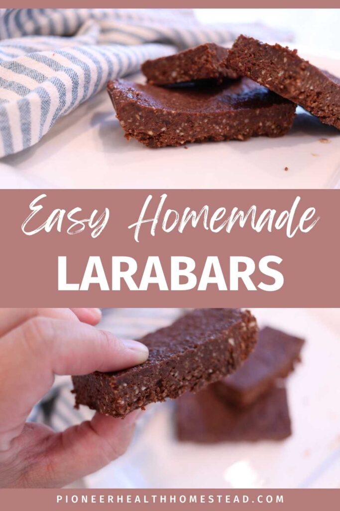 easy homemade chocolate larabars recipe pin