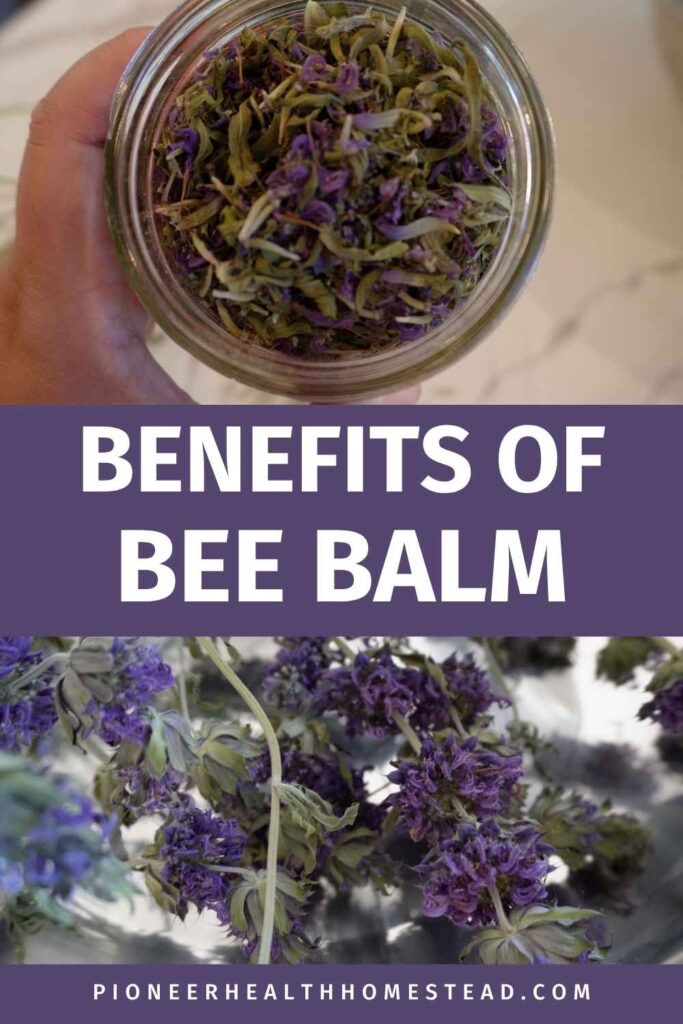 dried bee balm in mason jar and in stainless steel bowl pinterest pin