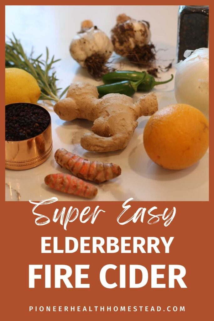 elderberry fire cider recipe pins (1)