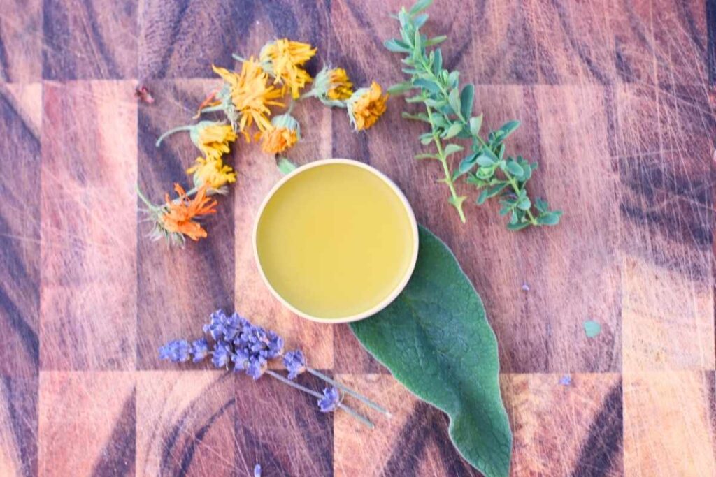 herbal burn salve on wood with fresh and dried herbs