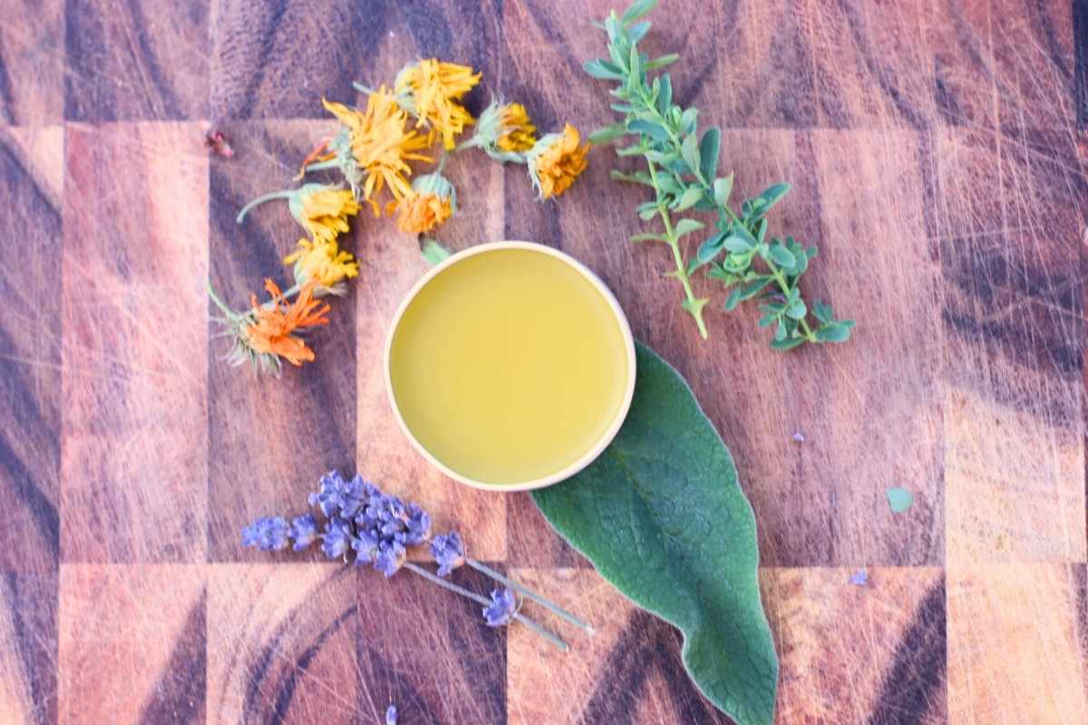 herbal burn salve on wood with fresh and dried herbs
