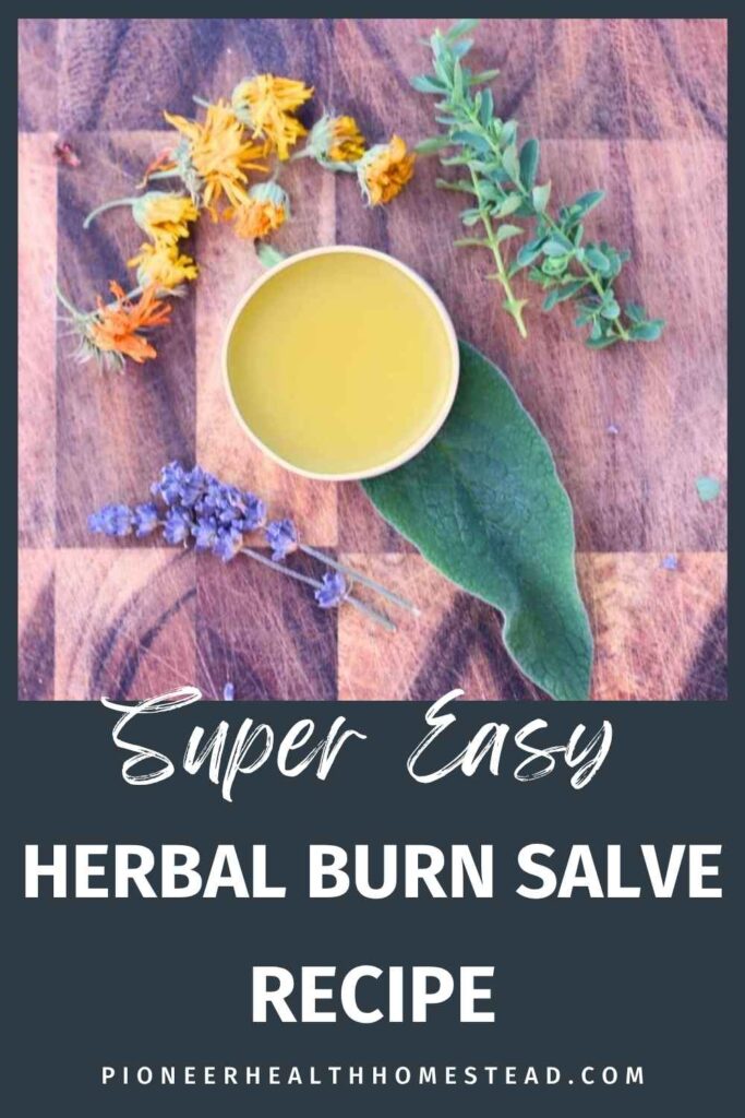 herbal burn salve on wood with fresh and dried herbs