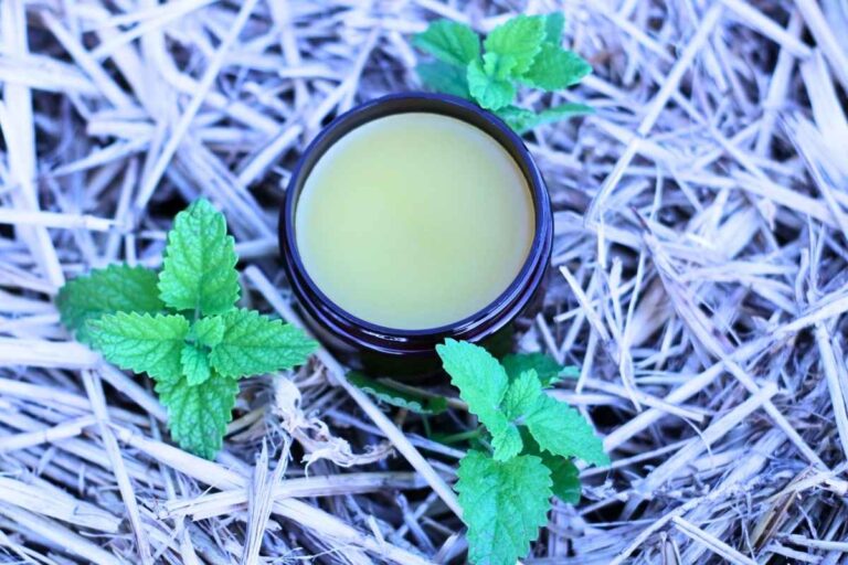 lemon balm salve on hay with plant large