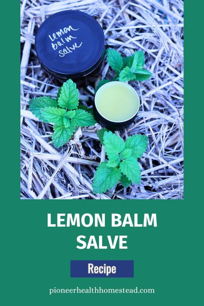 lemon balm salve recipe pins
