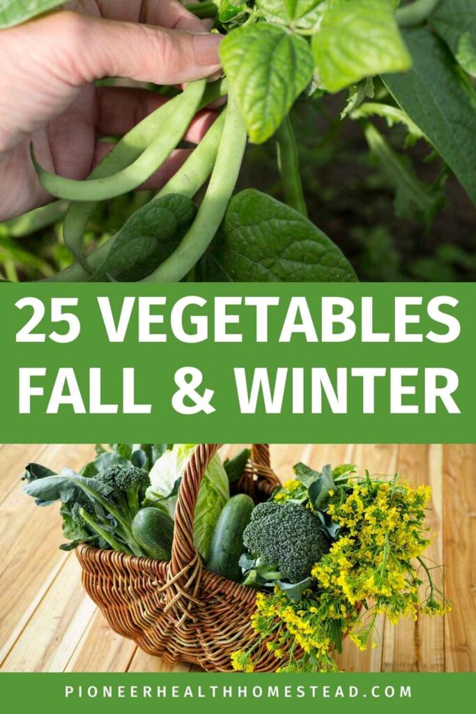25 veggies for fall and winter pin