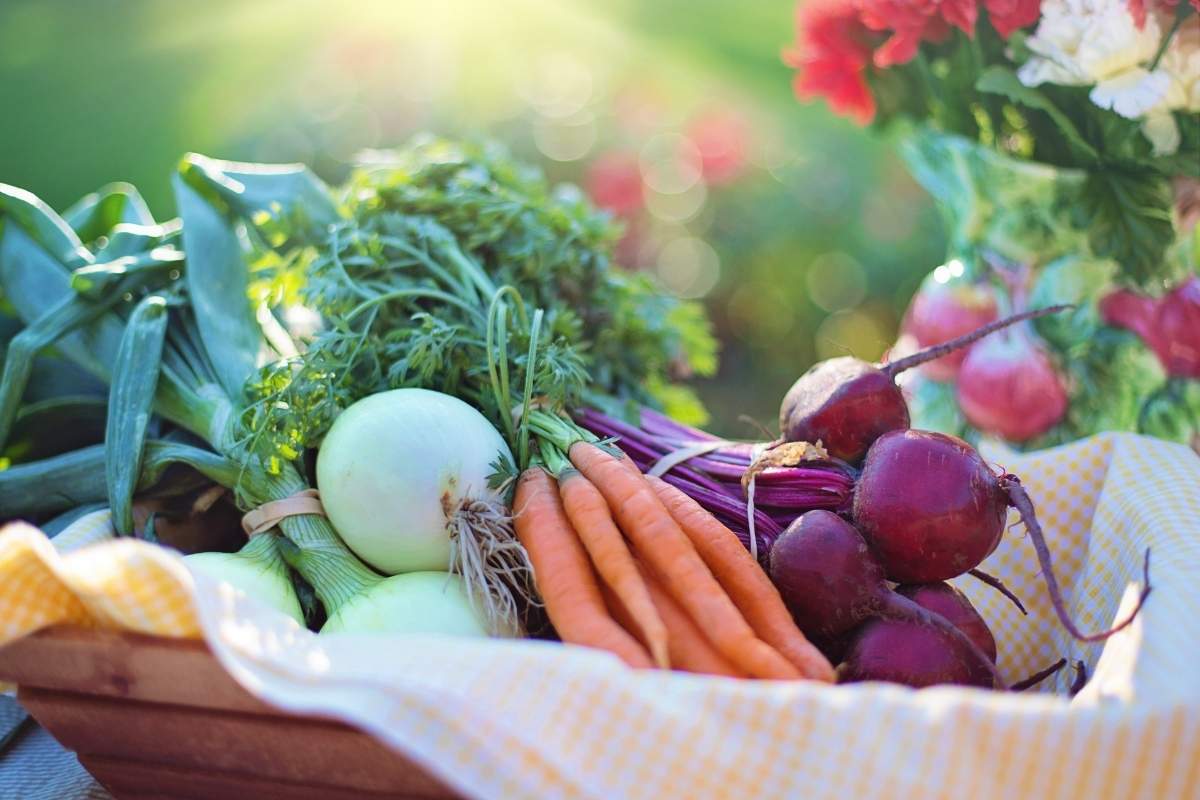 Simple Late Summer Planting Guide: 25 Vegetables for a Fall Harvest