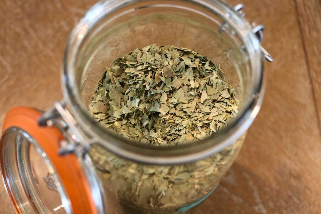 eucalyptus leaf in jar