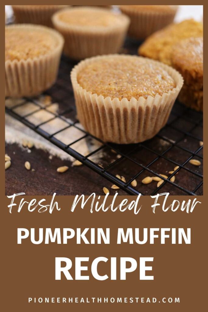 fresh ground flour muffin recipe pumpkin pin