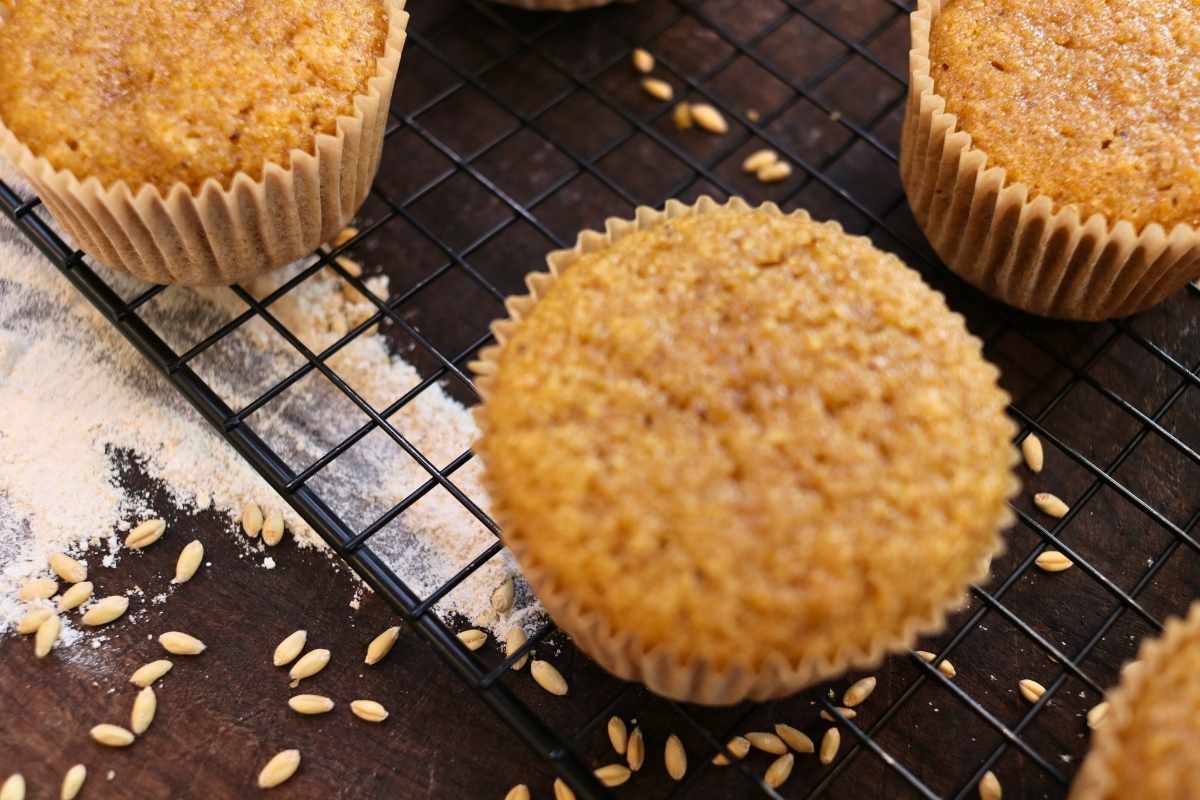 pumpkin fresh ground flour muffins