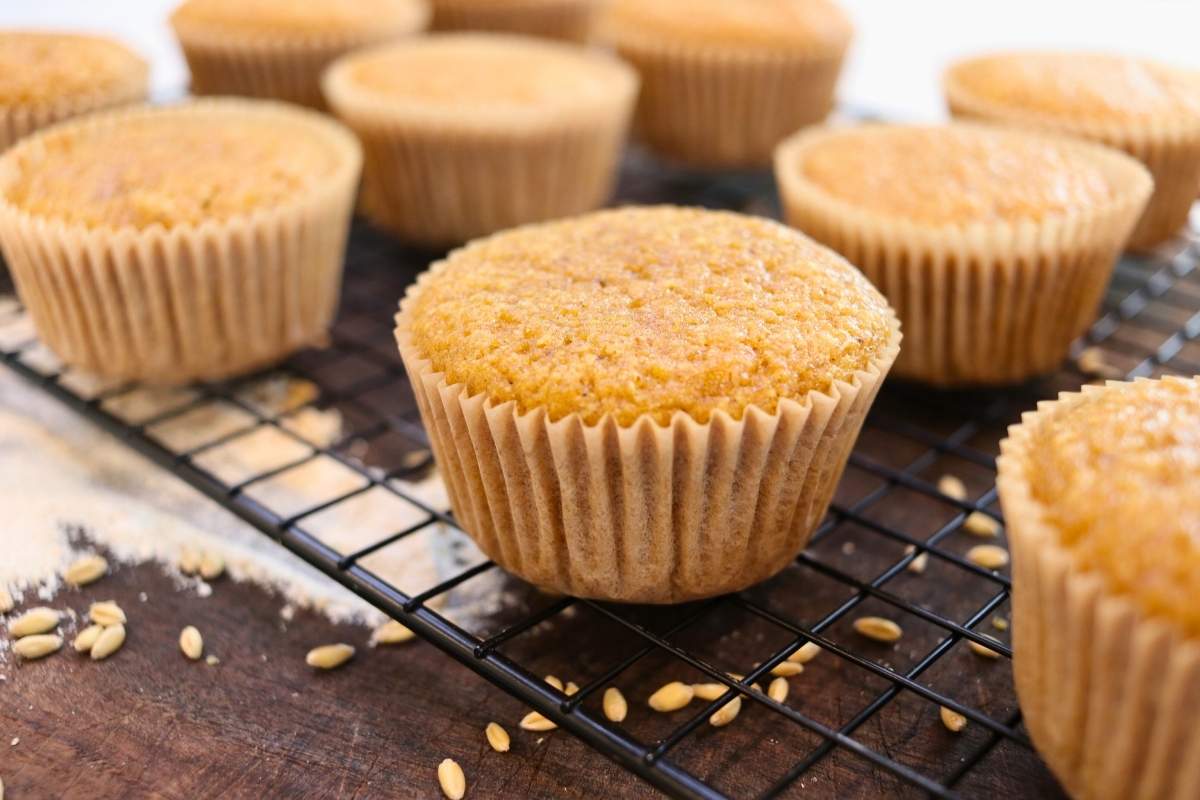 fresh ground flour muffin recipe pumpkin