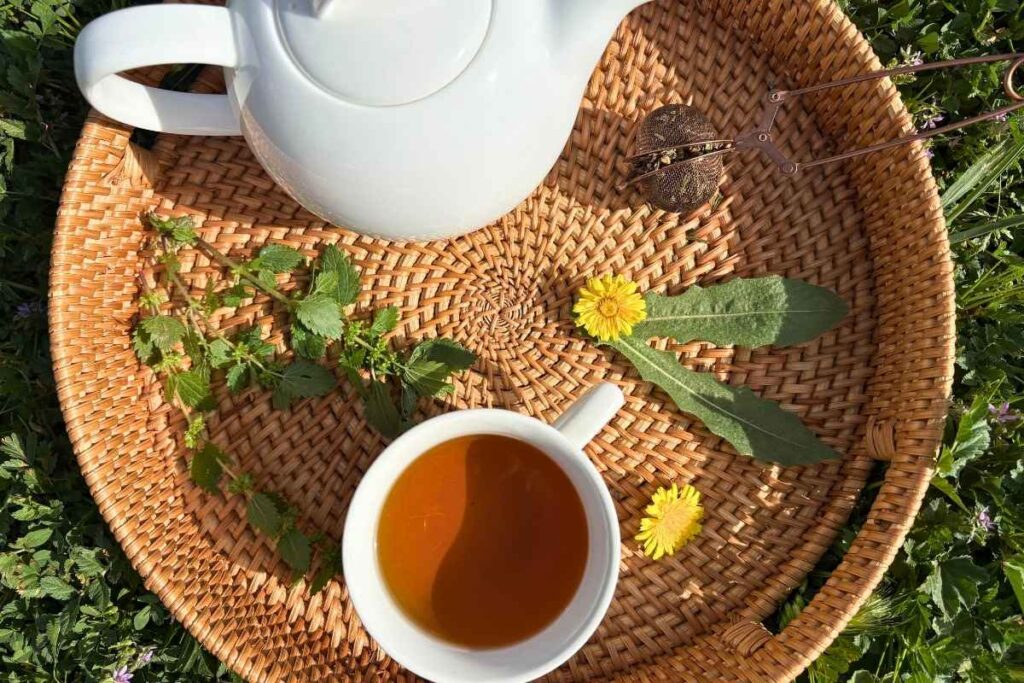 dandelion flowers leaf and nettle with tea in white tea cup on top of basket