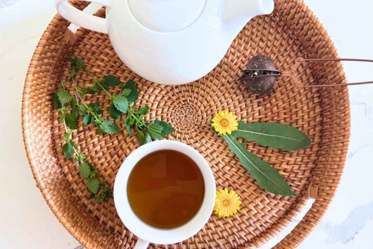 dandelion flowers leaf and nettle with tea in white tea cup on top of basket