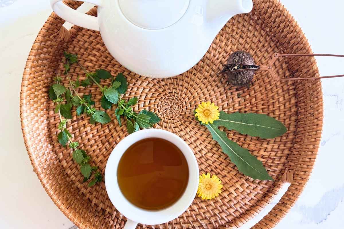 dandelion flowers leaf and nettle with tea in white tea cup on top of basket