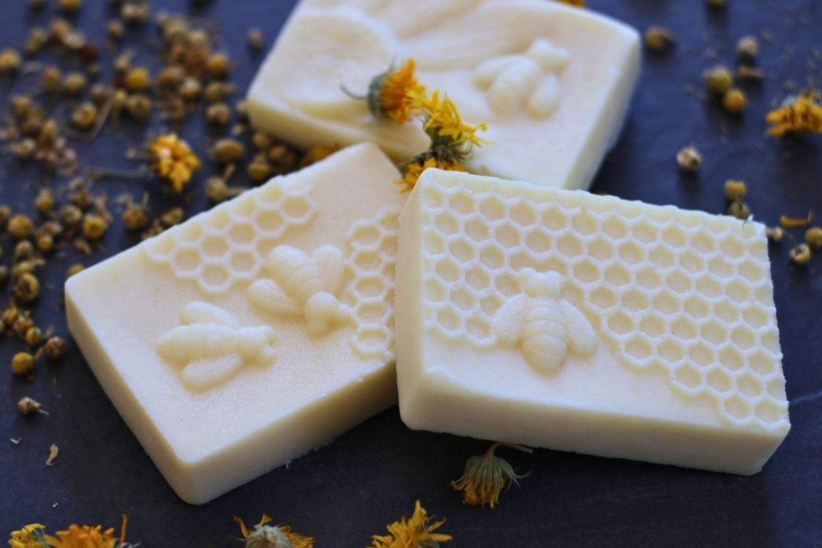 herbal conditioner bars with honey bee design and chamomile and calendula dried herbs on slate tile